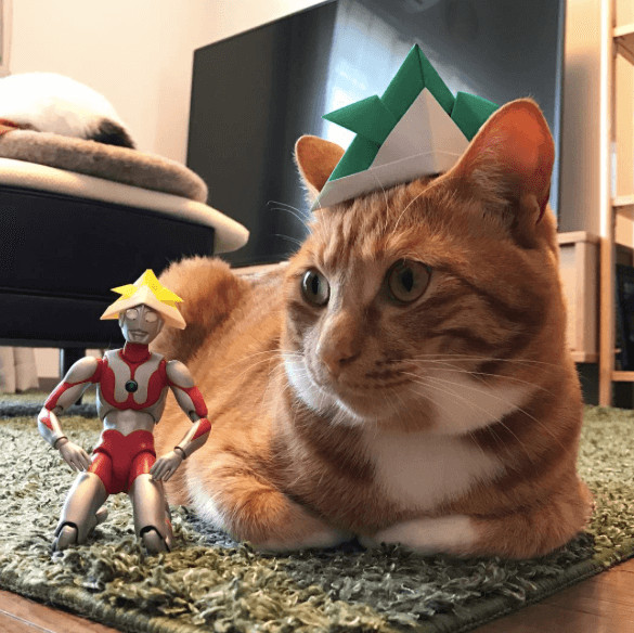 inspiringlife.pt - Um gatinho adorável e um boneco Ultraman - uma "amizade" que te vai derreter o coração