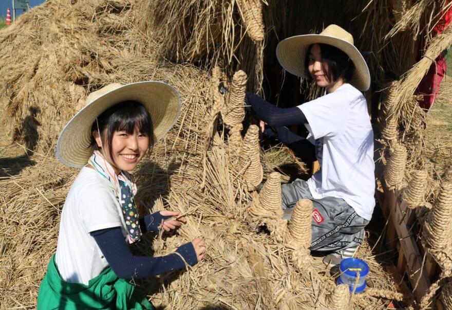 inspiringlife.pt - Animais de palha gigantes invadem campos de arroz japoneses após a colheita