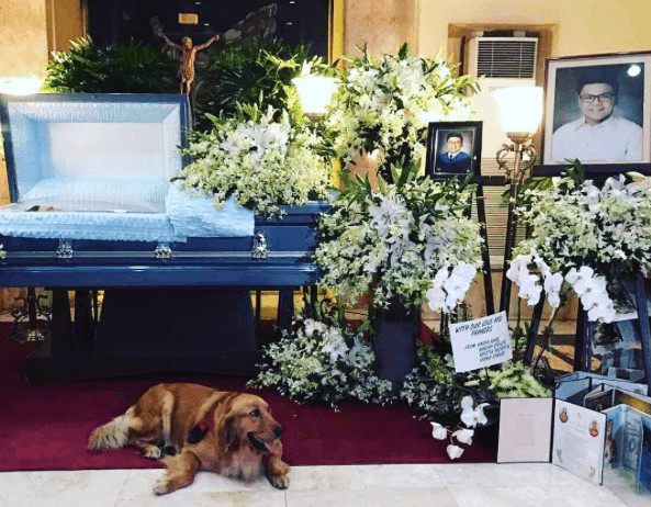inspiringlife.pt - Cadela permanece junto do caixão do dono durante o seu funeral
