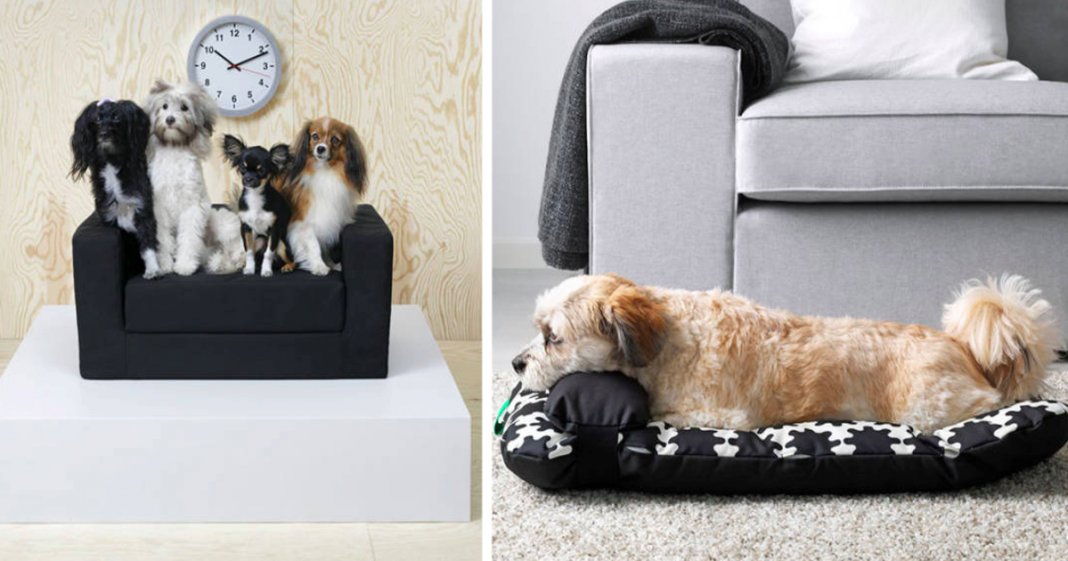 IKEA lança colecção exclusiva para cães e gatos
