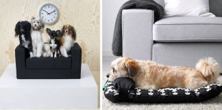 IKEA lança colecção exclusiva para cães e gatos