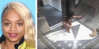 Modelo de 24 anos é apanhada a agredir violentamente o seu cachorro no elevador