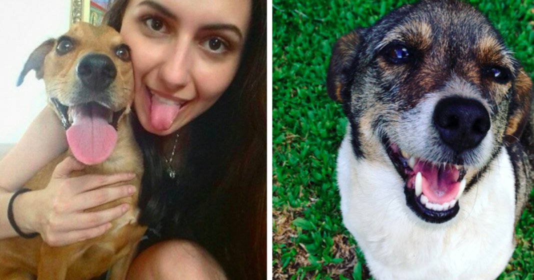 Depois de público recusar adoptar animais “rafeiros”, uma nova hashtag viralizou nas redes sociais