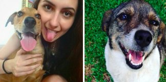 Depois de público recusar adoptar animais “rafeiros”, uma nova hashtag viralizou nas redes sociais