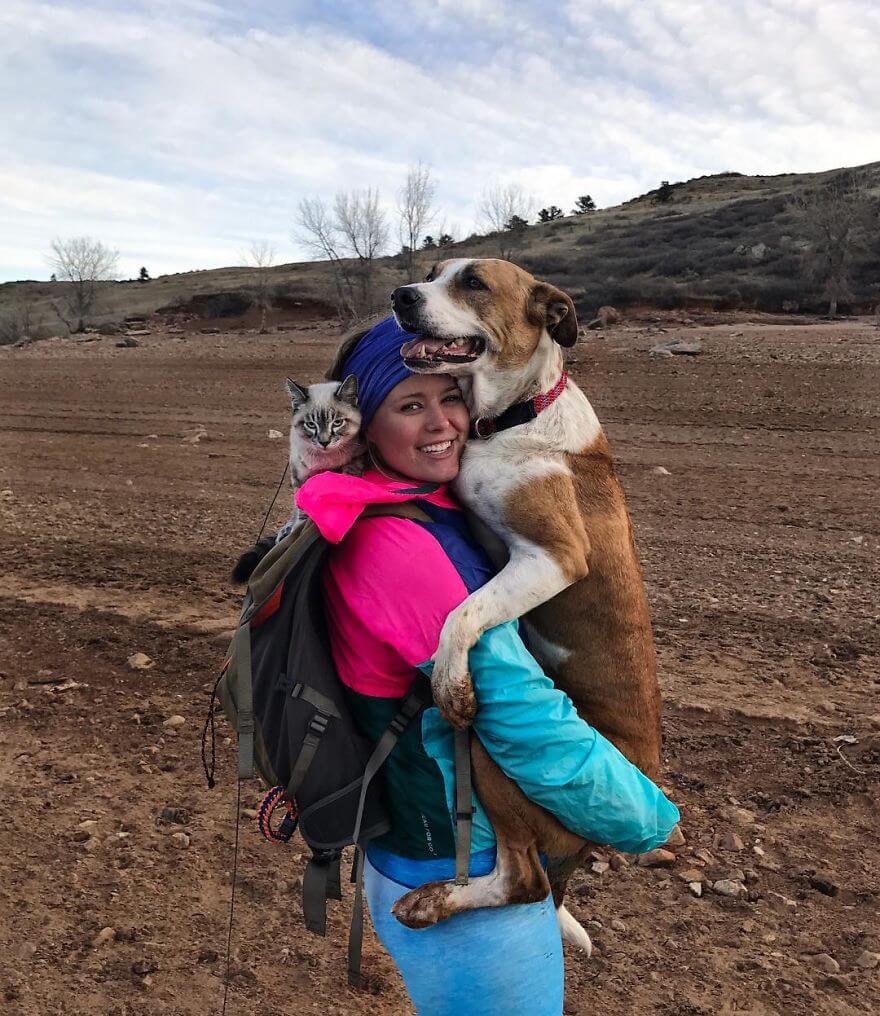 inspiringlife.pt - Cachorro e gato adoram viajar juntos e as suas fotografias conquistaram a Internet