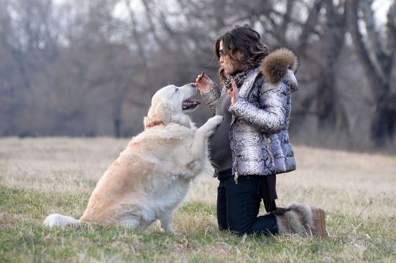 inspiringlife.pt - 20 cachorros que mal podem esperar para conhecer o seu dono bebé