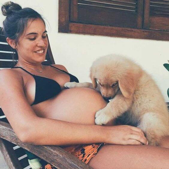 inspiringlife.pt - 20 cachorros que mal podem esperar para conhecer o seu dono bebé