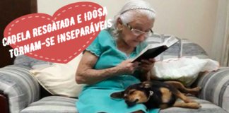 Cadelinha resgatada é adoptada por idosa e tornam-se inseparáveis