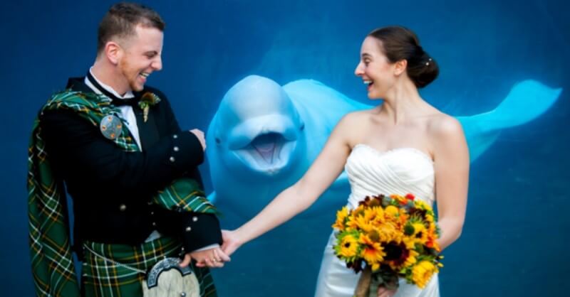 inspiringlife.pt - 28 fotos de casamento "invadidas" por emplastros hilariantes