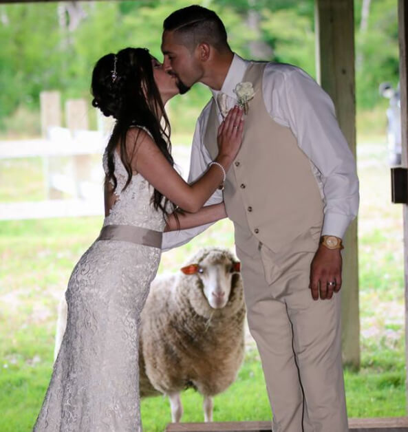 inspiringlife.pt - 28 fotos de casamento "invadidas" por emplastros hilariantes
