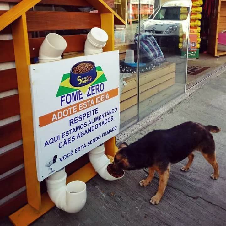 inspiringlife.pt - Homem brasileiro constrói "restaurantes" para cachorros abandonados na rua