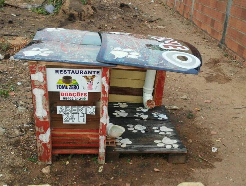 inspiringlife.pt - Homem brasileiro constrói "restaurantes" para cachorros abandonados na rua