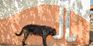 Iniciativa instala comedouros e bebedouros públicos para cães abandonados