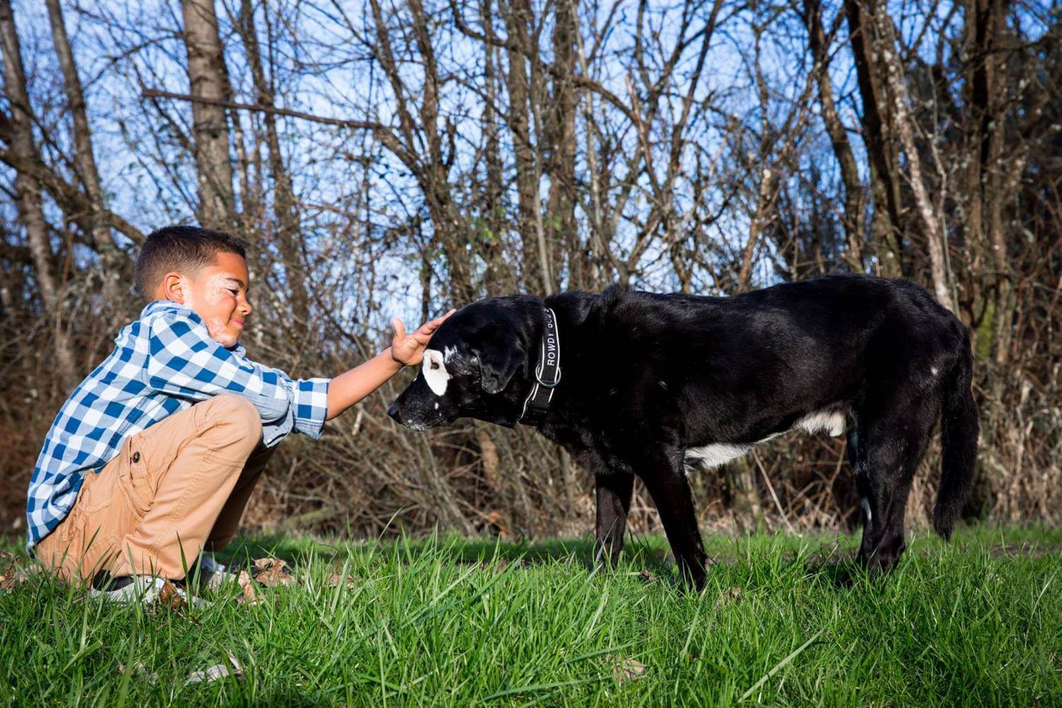 inspiringlife.pt - Menino aprende a gostar da sua doença com ajuda de cachorro que sofre do mesmo