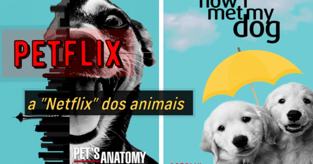 Brasileira recria posters da Netflix com cães para campanha de abrigo de animais