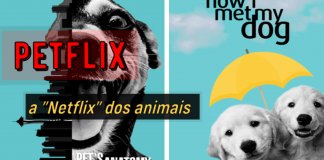 Brasileira recria posters da Netflix com cães para campanha de abrigo de animais