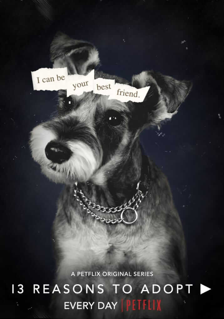 inspiringlife.pt - Brasileira recria posters da Netflix com cães para campanha de abrigo de animais