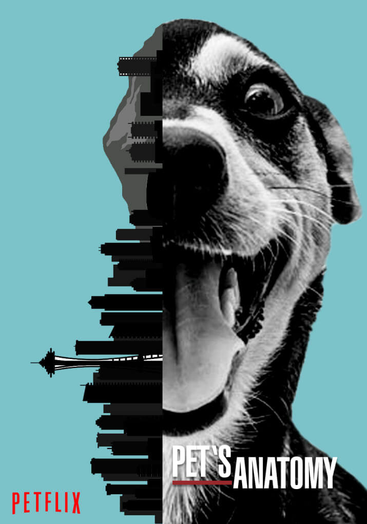 inspiringlife.pt - Brasileira recria posters da Netflix com cães para campanha de abrigo de animais