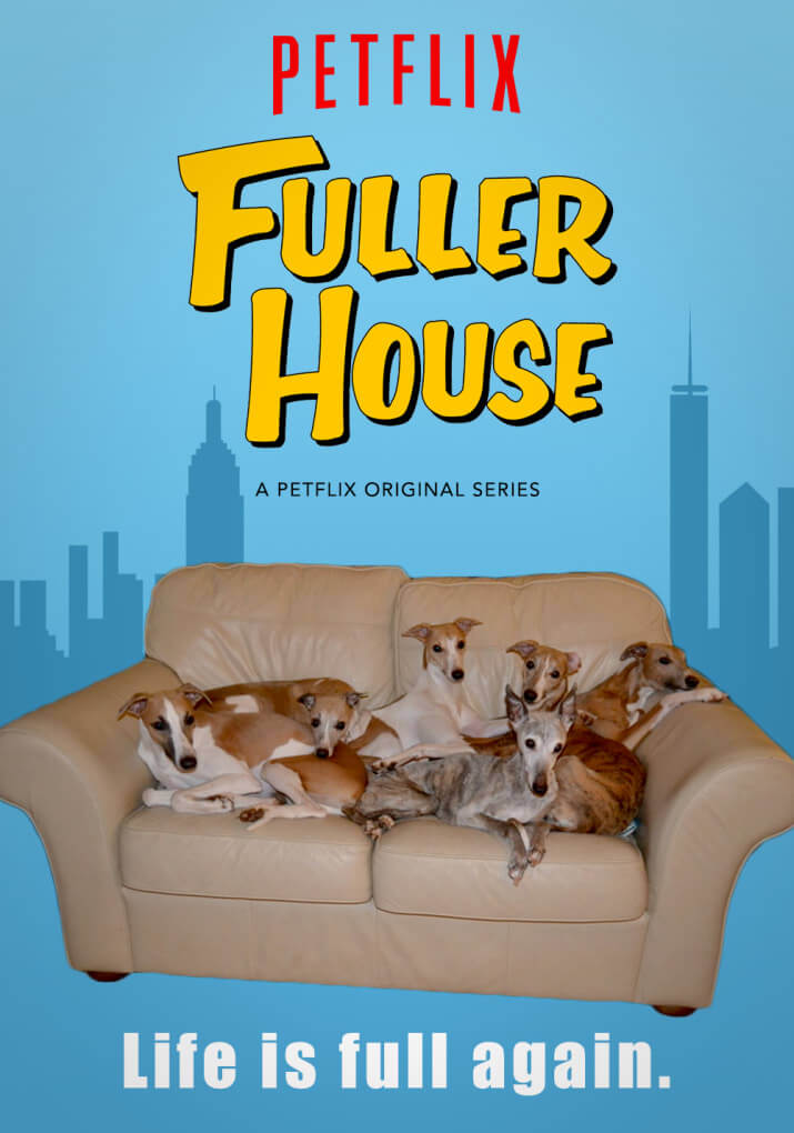 inspiringlife.pt - Brasileira recria posters da Netflix com cães para campanha de abrigo de animais