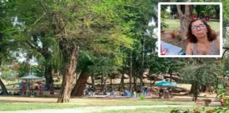 Professora organiza piquenique com os seus alunos, mas ninguém apareceu