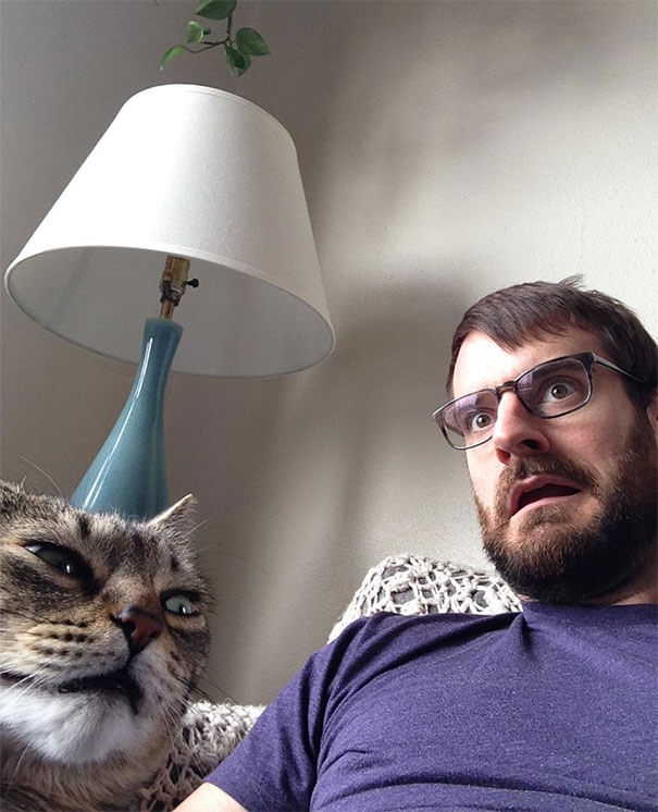 inspiringlife.pt - 21 gatos que mostraram o quanto NÃO gostam de tirar fotografias