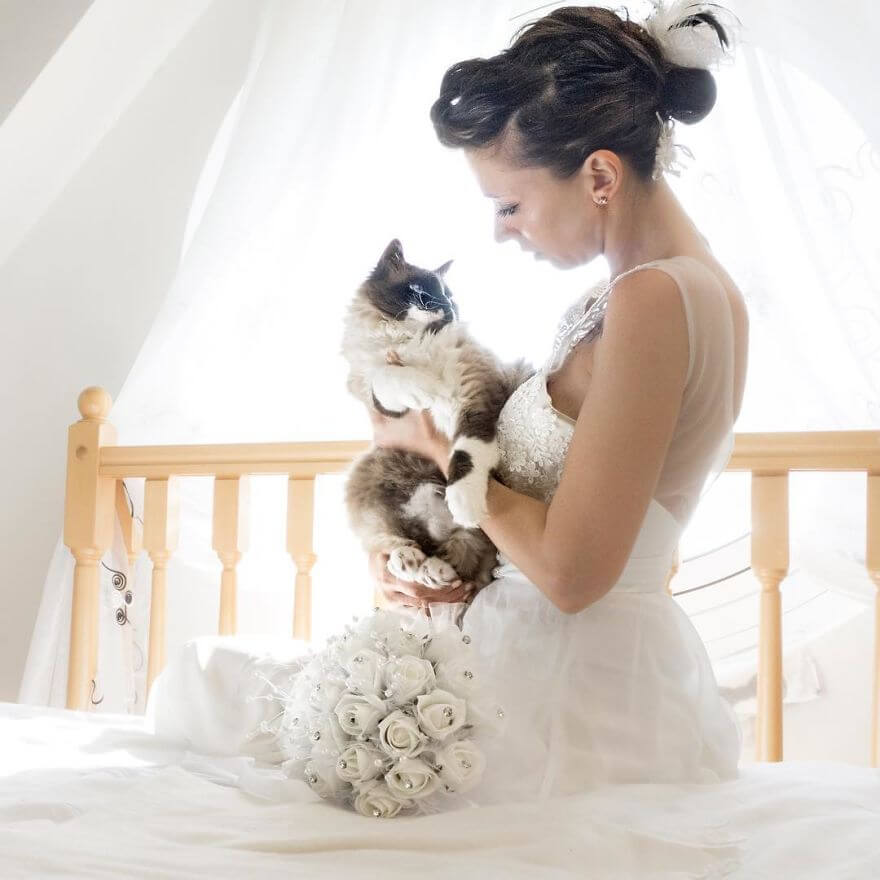 inspiringlife.pt - Fotógrafa faz sessão fotográfica pós-casamento com gatos e o resultado é absolutamente adorável