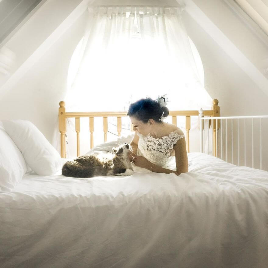 inspiringlife.pt - Fotógrafa faz sessão fotográfica pós-casamento com gatos e o resultado é absolutamente adorável