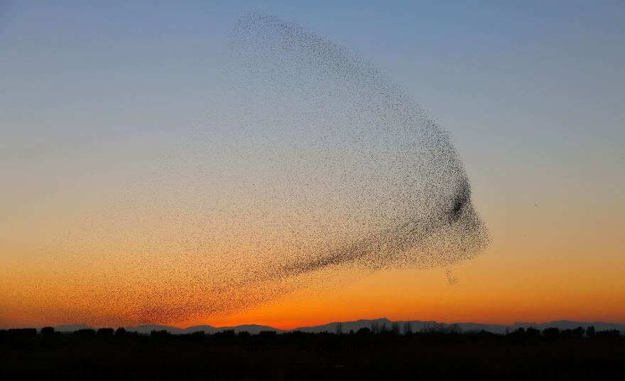 inspiringlife.pt - Fotógrafo captura a melhor imagem de sempre, mas só se apercebe mais tarde