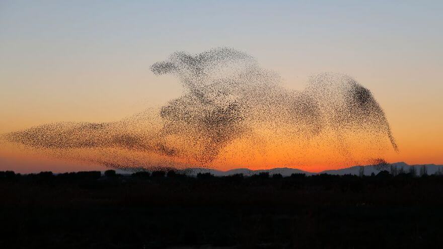 inspiringlife.pt - Fotógrafo captura a melhor imagem de sempre, mas só se apercebe mais tarde