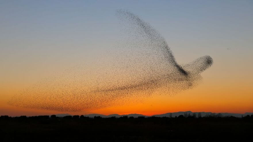 inspiringlife.pt - Fotógrafo captura a melhor imagem de sempre, mas só se apercebe mais tarde