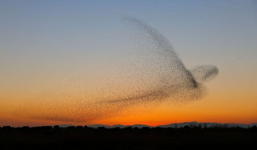 inspiringlife.pt - Fotógrafo captura a melhor imagem de sempre, mas só se apercebe mais tarde