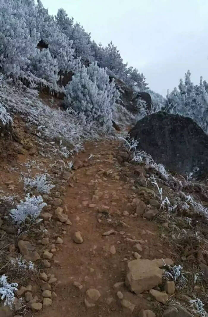 inspiringlife.pt - Menino de 8 anos anda cerca de 5 km no meio de neve para não perder exame na escola