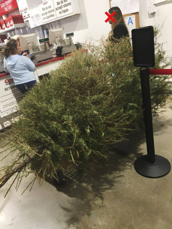 inspiringlife.pt - Mulher dirige-se a loja para devolver árvore de Natal "morta" alguns dias após o Natal