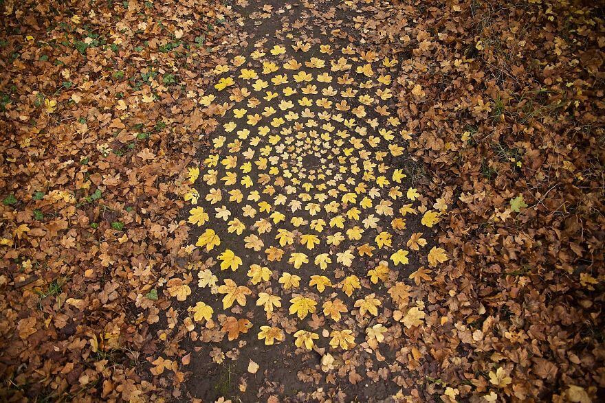 inspiringlife.pt - Artista cria mandalas deslumbrantes com objectos da Natureza