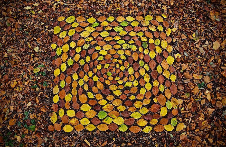 inspiringlife.pt - Artista cria mandalas deslumbrantes com objectos da Natureza