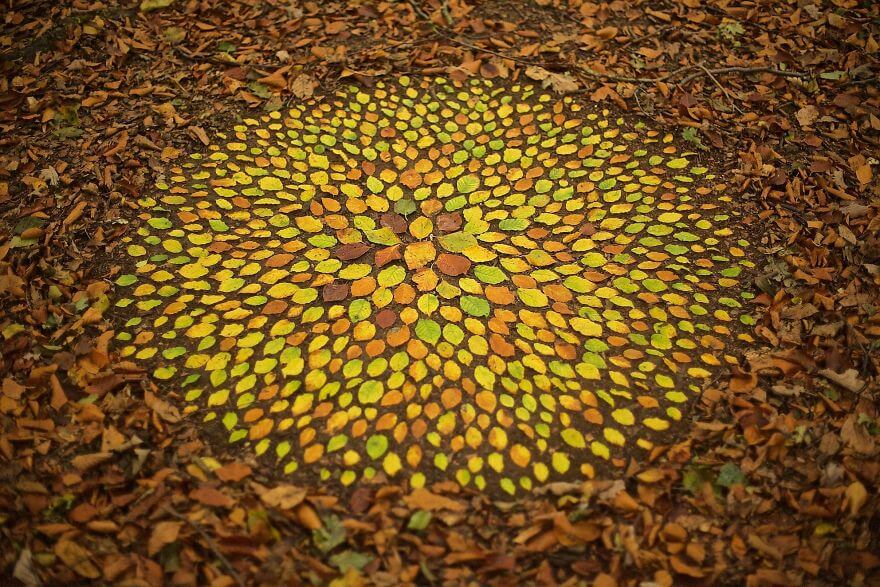 inspiringlife.pt - Artista cria mandalas deslumbrantes com objectos da Natureza