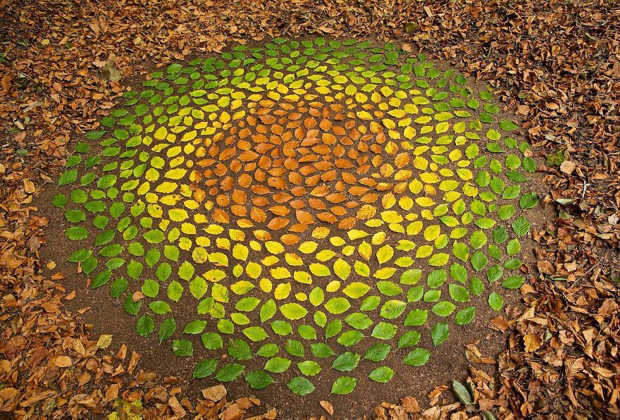 inspiringlife.pt - Artista cria mandalas deslumbrantes com objectos da Natureza