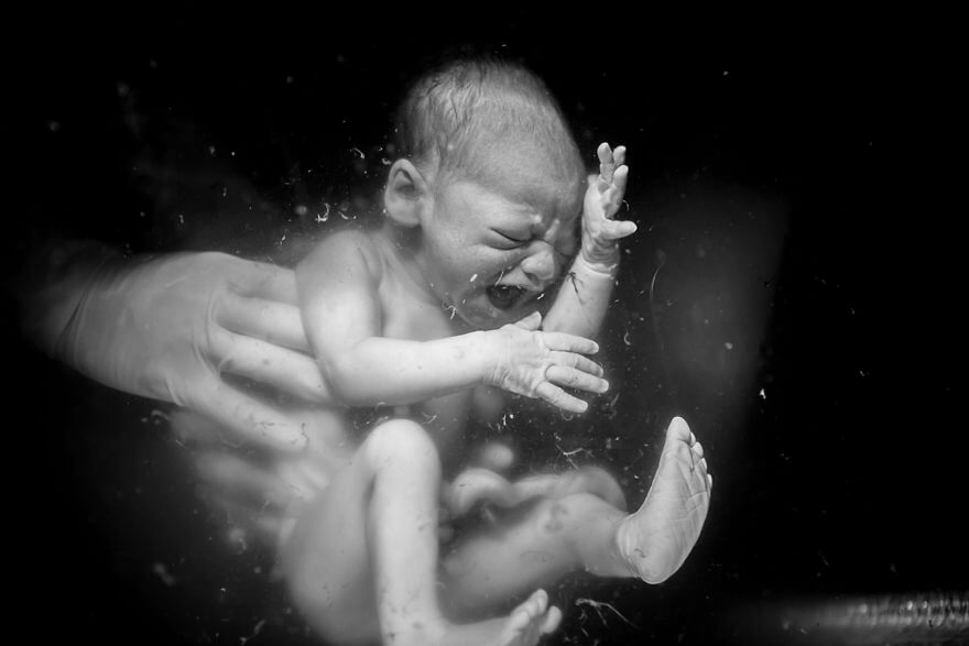 fotos-vencedoras-do-concurso-fotografia-nascimento-201818