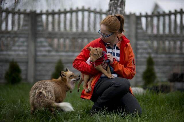 inspiringlife.pt - O primeiro dia de 40 cachorros adoráveis com as suas novas famílias