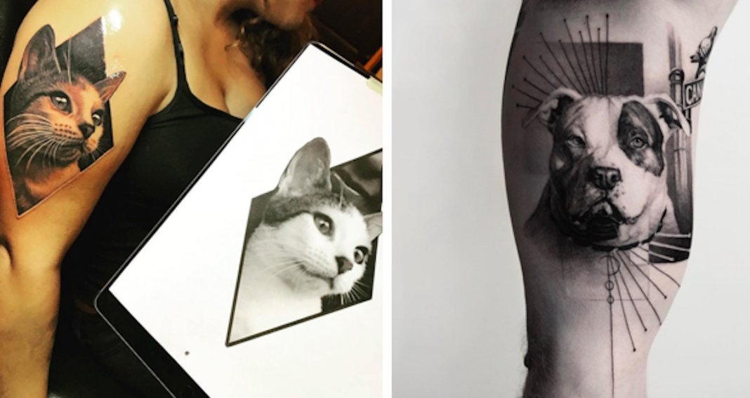 10 tatuagens de retratos de animais de estimação tão perfeitas que parecem fotografias