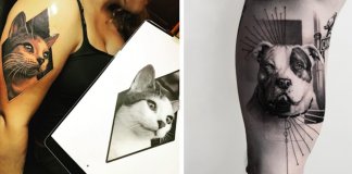 10 tatuagens de retratos de animais de estimação tão perfeitas que parecem fotografias