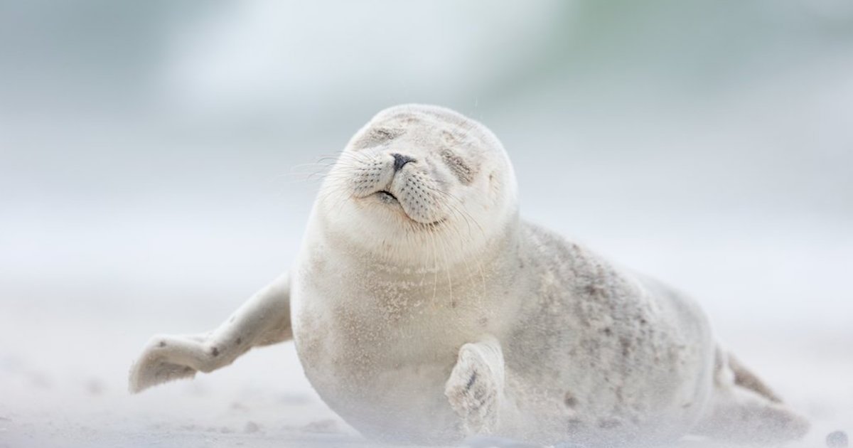15-fotografias-finalistas-do-15o-concurso-anual-de-fotografia-da-revista-smithsonian