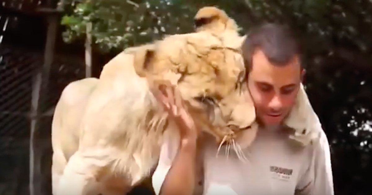 animais-a-darem-abracos-a-humanos1