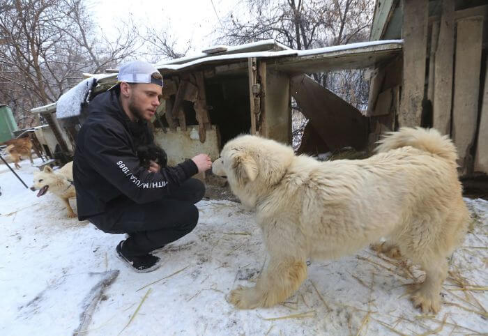 inspiringlife.pt - Esquiador olímpico salvou 90 cachorros que seriam vendidos para consumo na Coreia do Sul