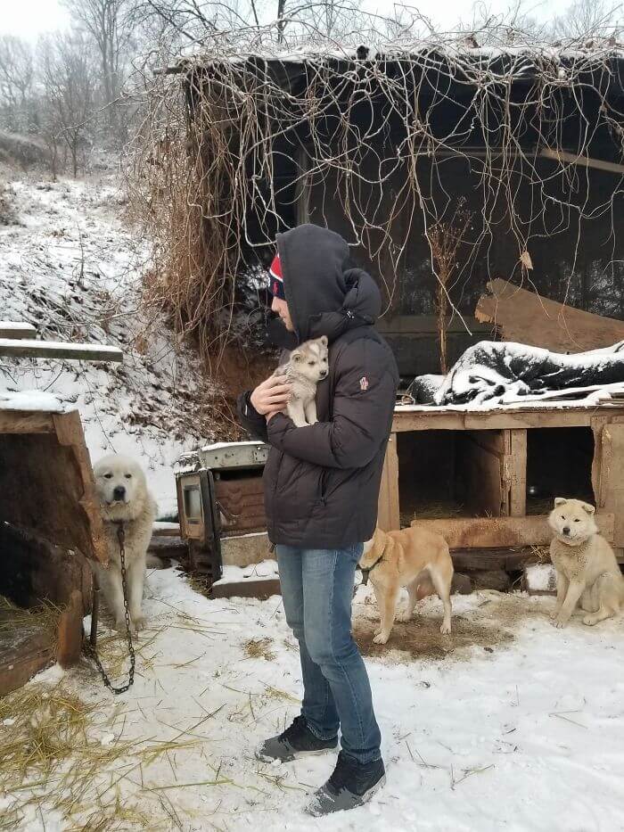 inspiringlife.pt - Esquiador olímpico salvou 90 cachorros que seriam vendidos para consumo na Coreia do Sul