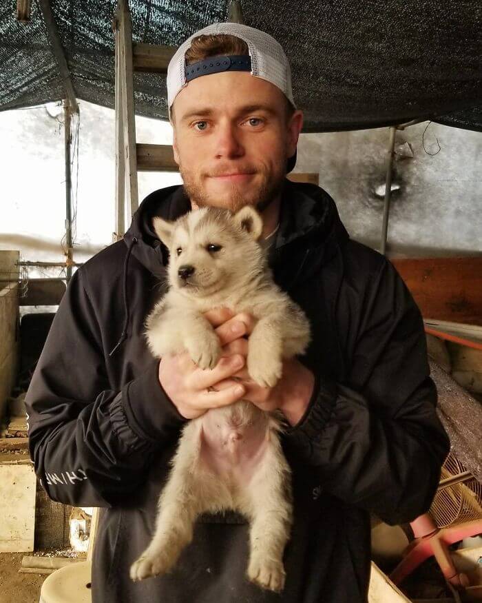 inspiringlife.pt - Esquiador olímpico salvou 90 cachorros que seriam vendidos para consumo na Coreia do Sul