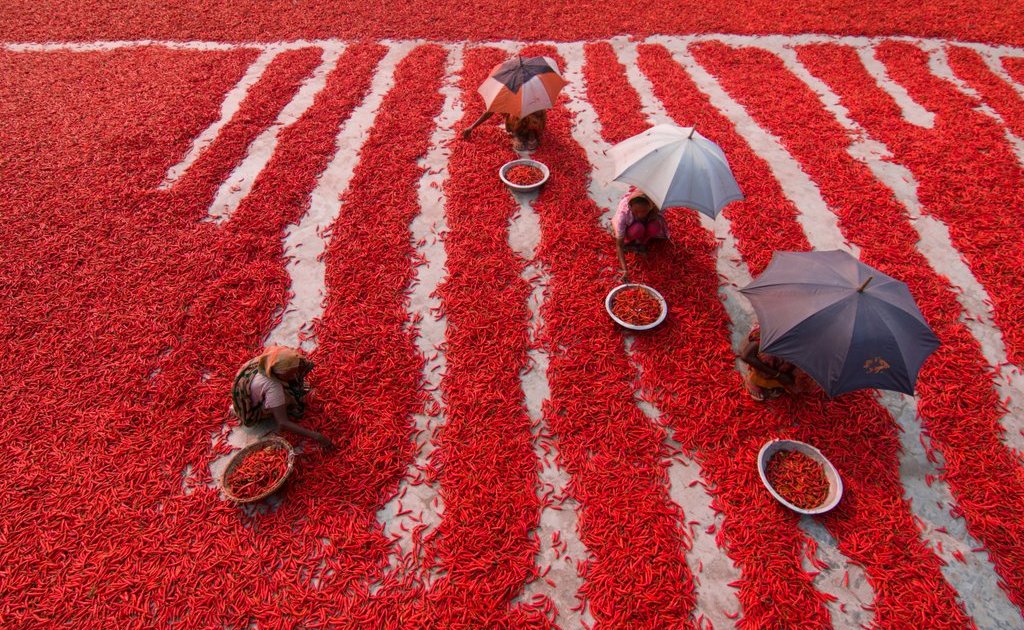 fotografias-finalistas-do-15o-concurso-anual-de-fotografia-da-revista-smithsonian11