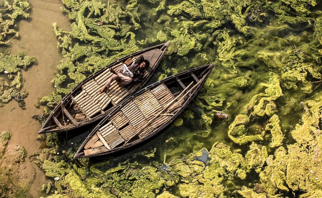 fotografias-finalistas-do-15o-concurso-anual-de-fotografia-da-revista-smithsonian4