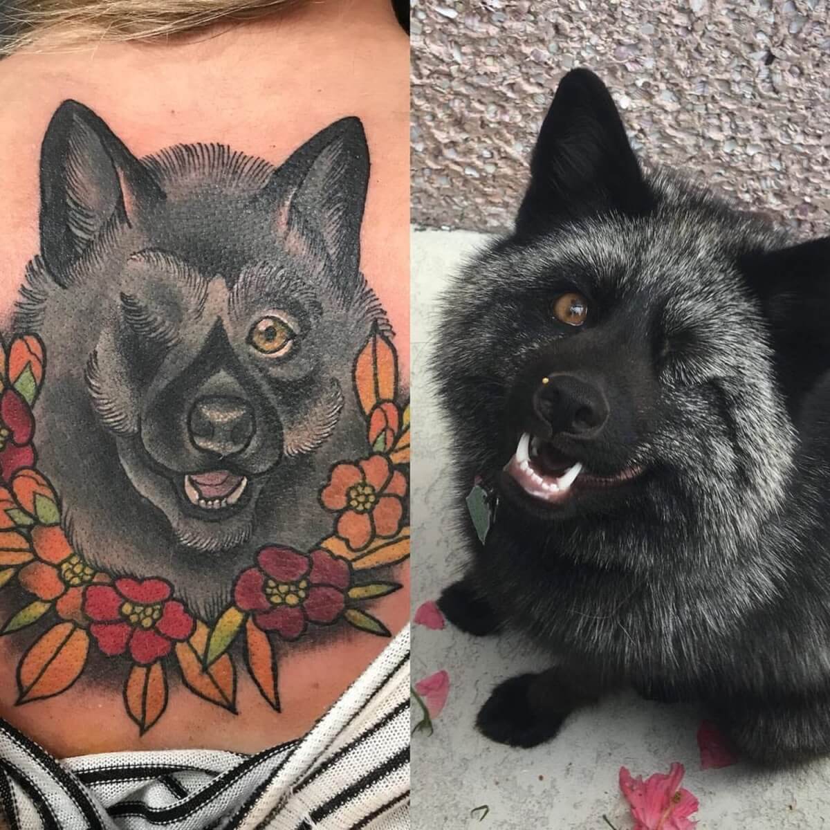 inspiringlife.pt - 10 tatuagens de retratos de animais de estimação tão perfeitas que parecem fotografias