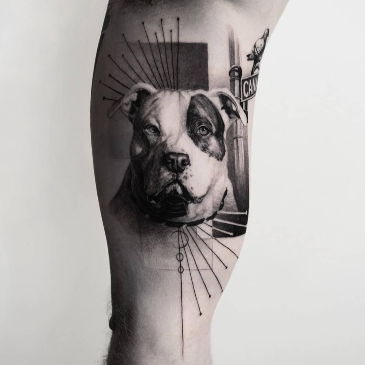inspiringlife.pt - 10 tatuagens de retratos de animais de estimação tão perfeitas que parecem fotografias